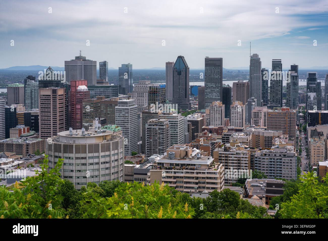 Vista dello skyline del centro di Montreal dal Mount Royal - Montreal, Quebec, Canada Foto Stock