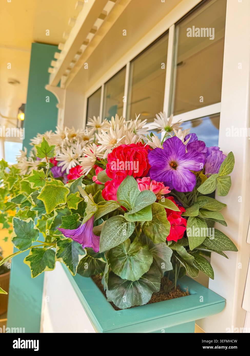 Primo piano di una fioriera con finestra piena di vibranti fiori viola, rossi e bianchi e foglie di edera verdi in un edificio a Nassau, Bahamas. - Immagine stock catturata con smartphone