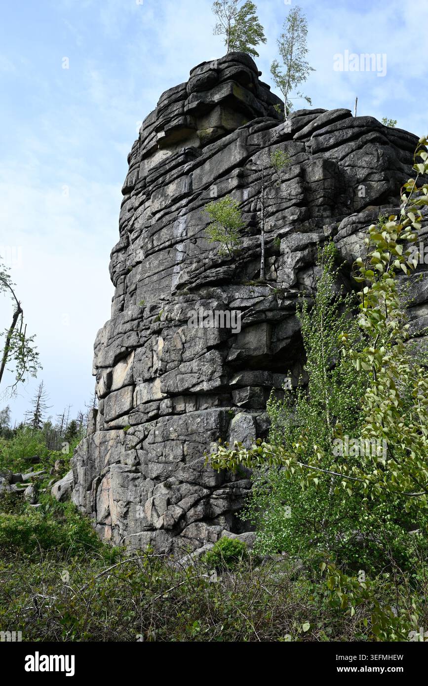 Famosa formazione rocciosa a Schierke, Harz National Park. Formazione rocciosa di Freeclimbing vicino a Feuerstein-Klippe vicino a Schierke. Foto Stock