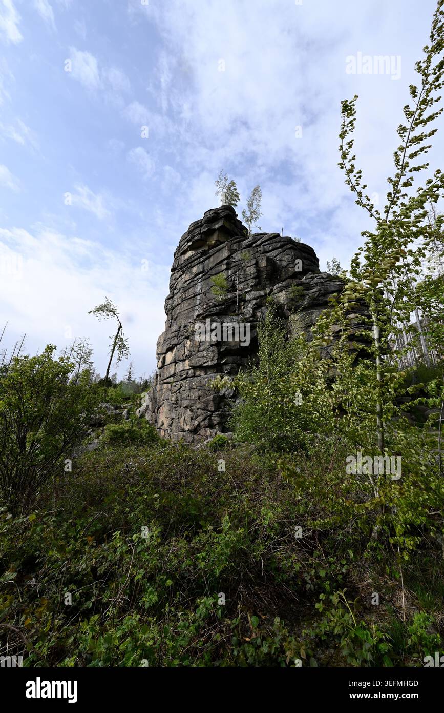 Famosa formazione rocciosa a Schierke, Harz National Park. Formazione rocciosa di Freeclimbing vicino a Feuerstein-Klippe vicino a Schierke. Foto Stock