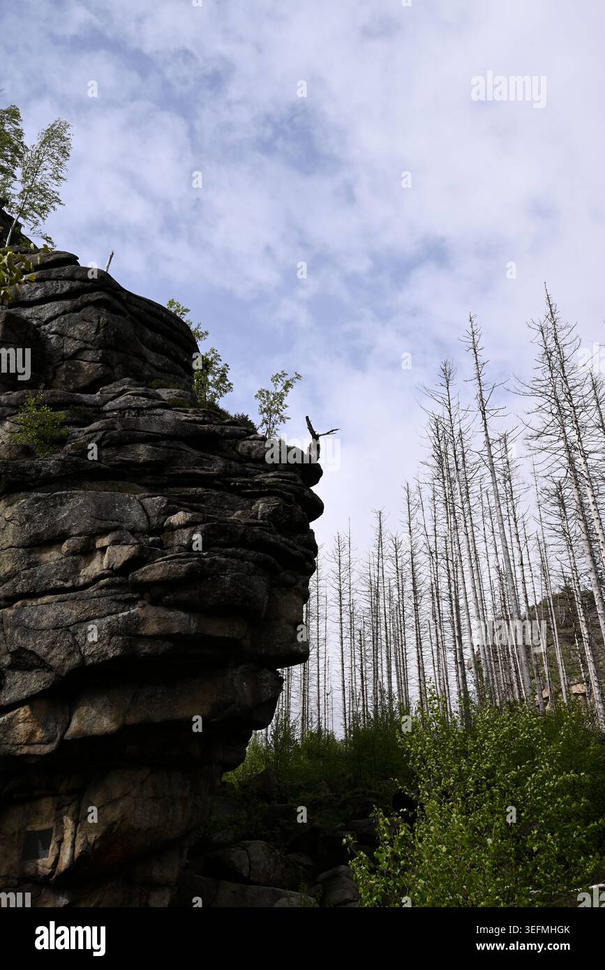 Famosa formazione rocciosa a Schierke, Harz National Park. Formazione rocciosa di Freeclimbing vicino a Feuerstein-Klippe vicino a Schierke. Foto Stock