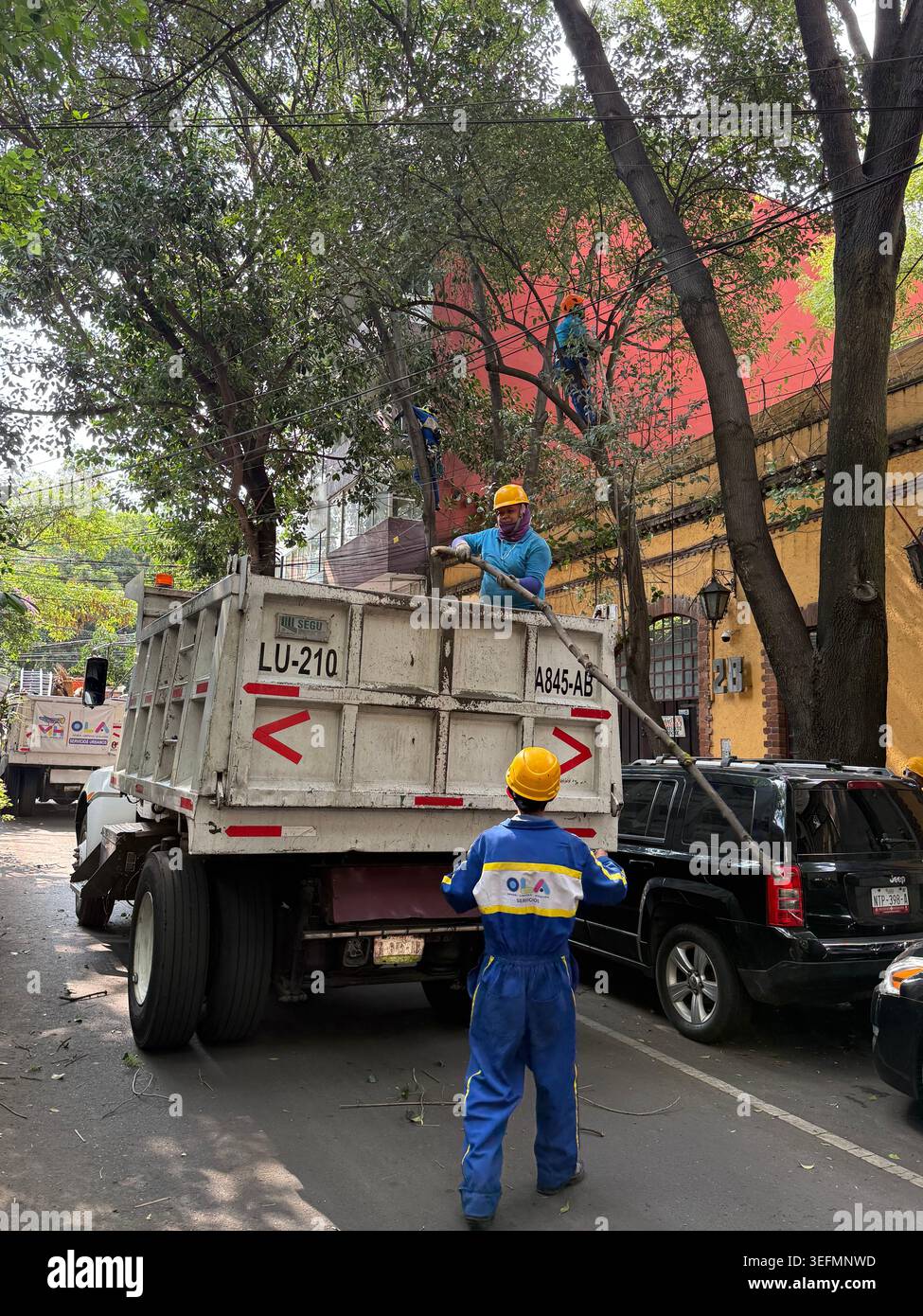 I lavoratori della città eseguono la manutenzione degli alberi da un camion di servizio in una strada alberata a città del Messico, Messico - Immagine stock catturata con smartphone