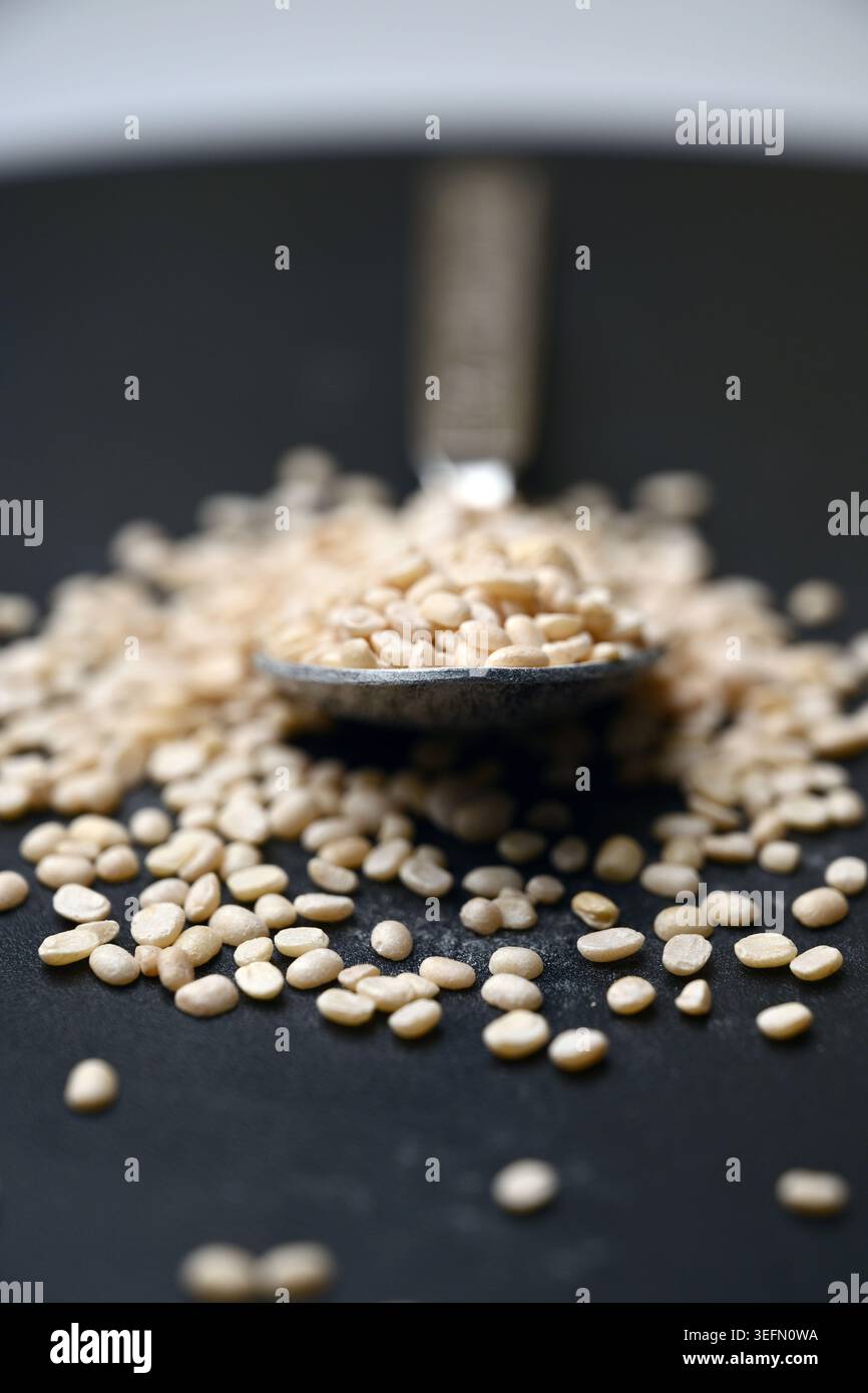 Split Urad dal in Spoon, Macro cibo Angled Top View su sfondi scuri defocati con illuminazione spettacolare Foto Stock