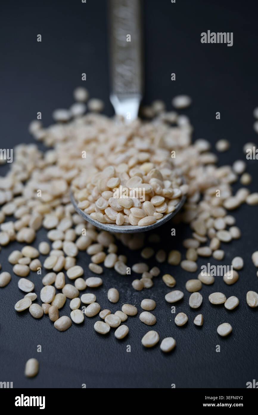 Split Urad dal in Spoon, Macro cibo Angled Top View su sfondi scuri defocati con illuminazione spettacolare Foto Stock