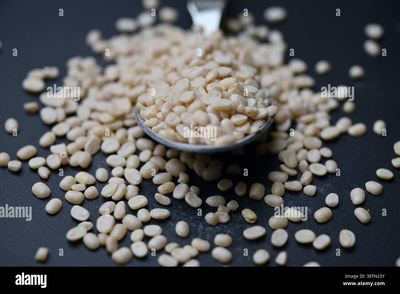 Split Urad dal in Spoon, Macro cibo Angled Top View su sfondi scuri defocati con illuminazione spettacolare Foto Stock