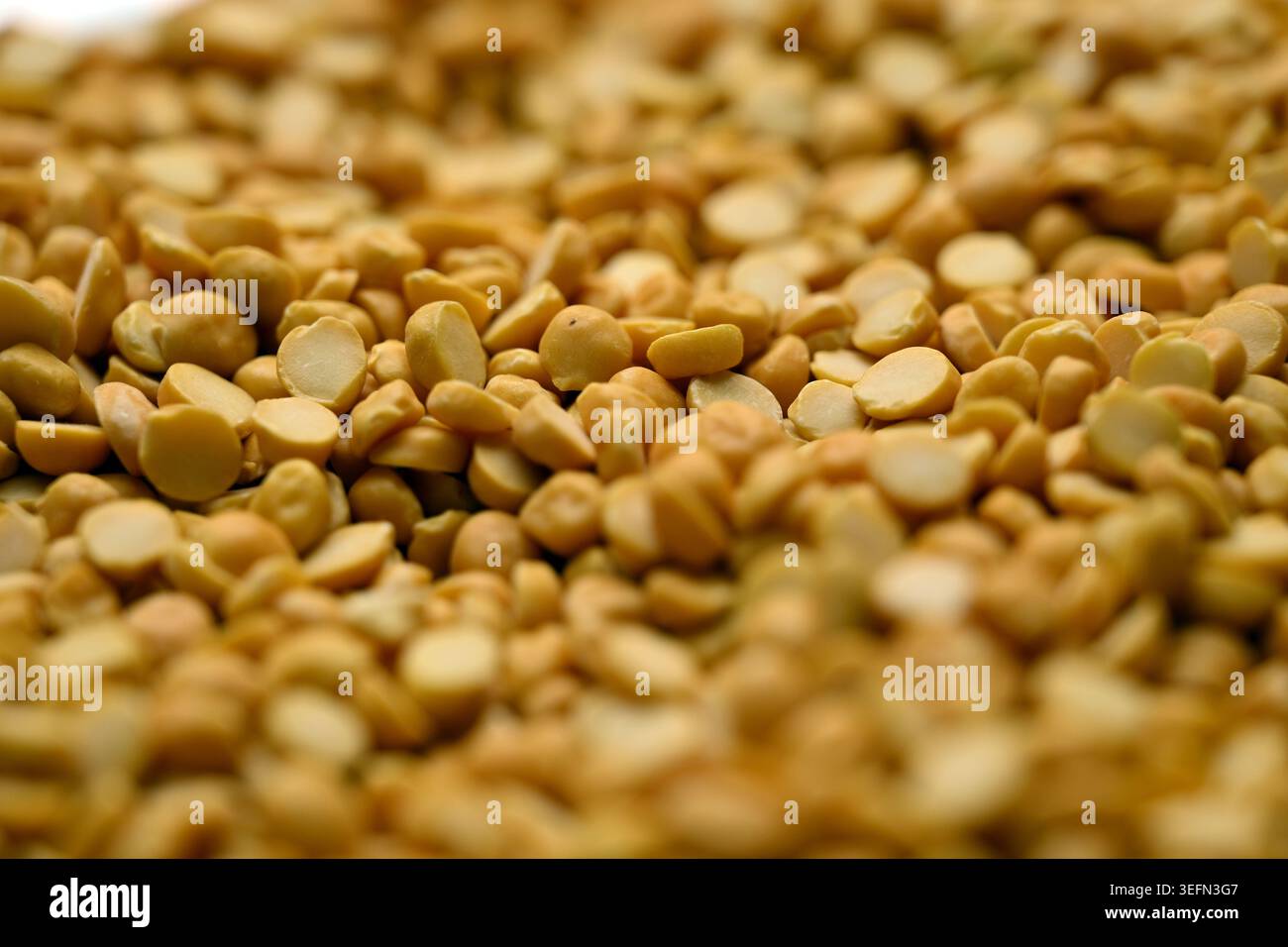 Split Chana dal texture con sfocatura sfondi Macro Photography Foto Stock