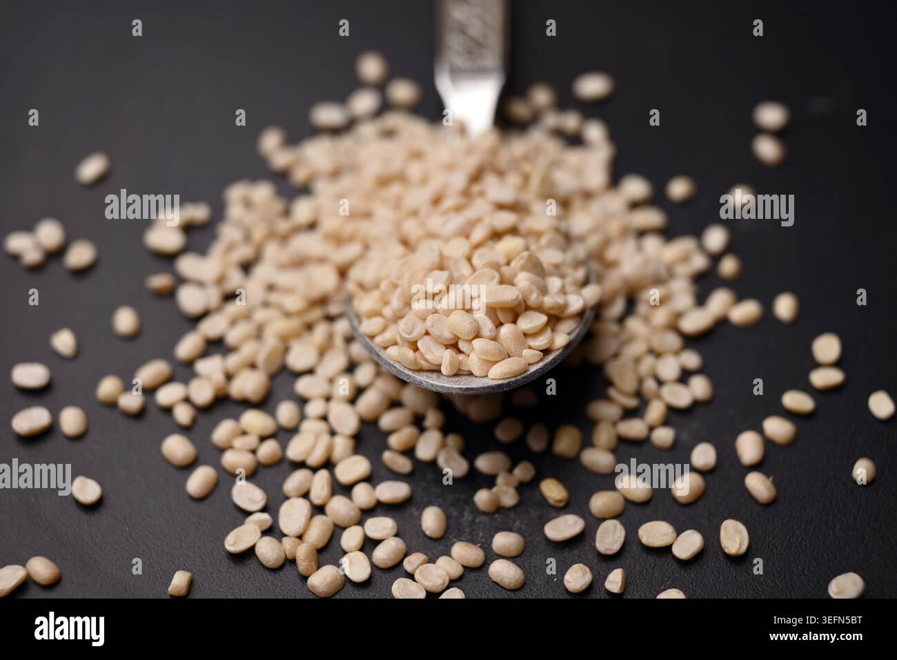 Split Urad dal in Spoon, Macro cibo Angled Top View su sfondi scuri defocati con illuminazione spettacolare Foto Stock