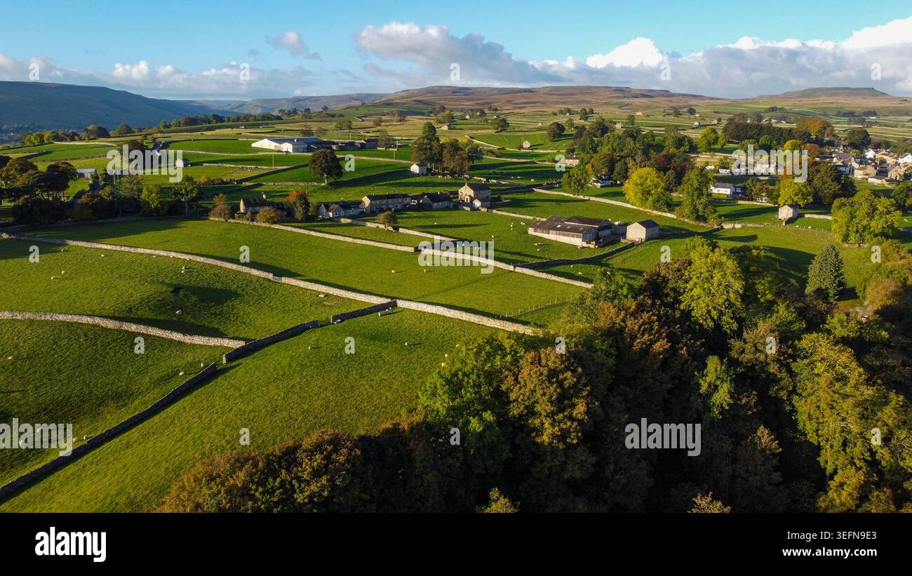 Vista aerea della fattoria di Wensleydale con pareti a secco, pecore e edifici agricoli in pietra Foto Stock