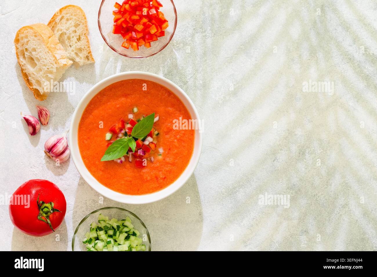 Zuppa di gazpacho. Tradizionale zuppa di pomodoro fredda spagnola di verdure fresche crude, vista dall'alto. Foto Stock