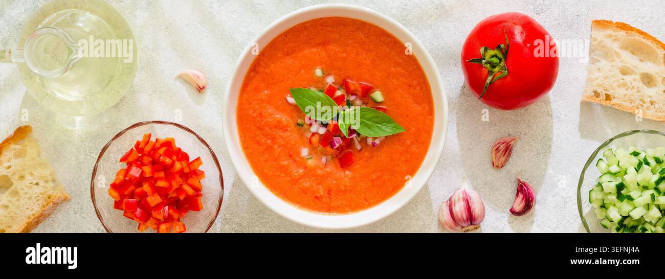 Zuppa di gazpacho. Tradizionale zuppa di pomodoro fredda spagnola di verdure fresche crude, vista dall'alto. Foto Stock