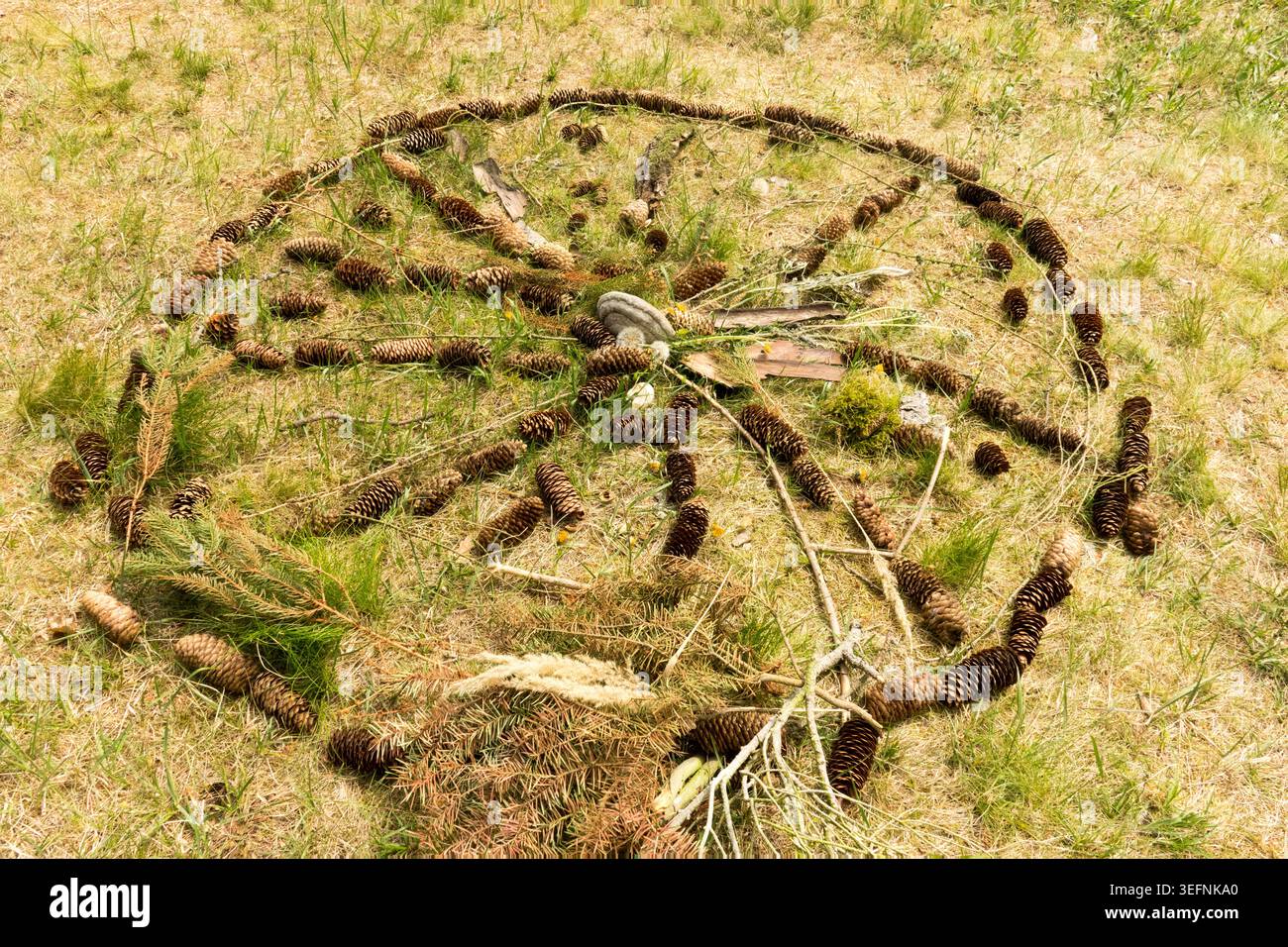 Ruota decorativa a cono di pino creata con materiali forestali su un prato verde come Land art, motivo circolare Foto Stock