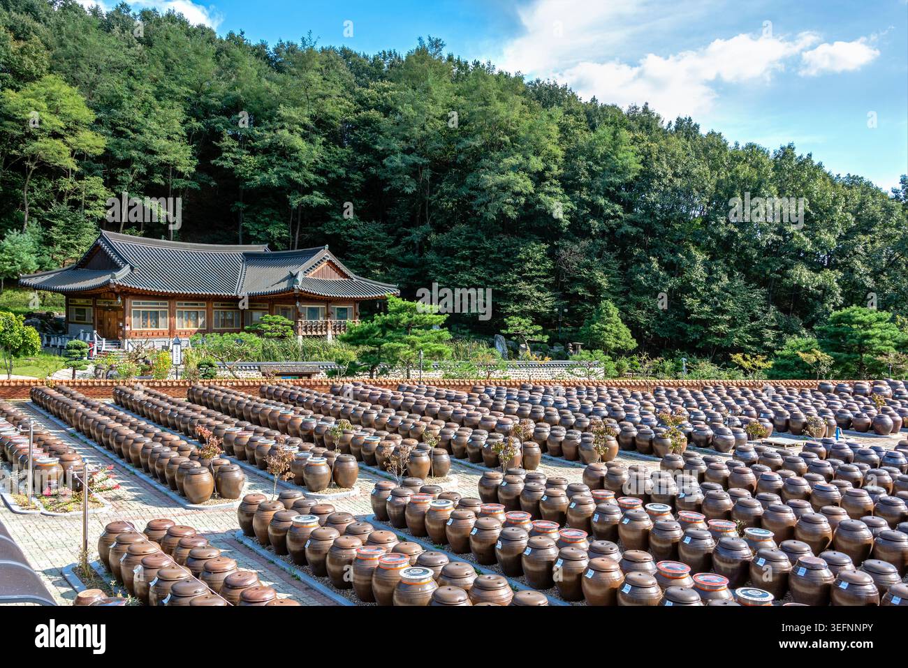 Vista dei grandi Jangdokdae e del tradizionale Museo della salsa fermentata presso il villaggio di Dweungbak, Sejong, Corea del Sud Foto Stock