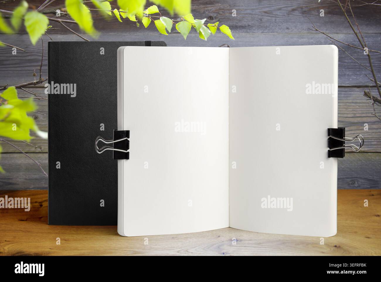 Collezione di mockup per notebook aperta e vuota su clip di legatura in metallo. Bozzetti realistici in carta con spazio per copiare su tavoli in legno rustico e grigi verdi Foto Stock