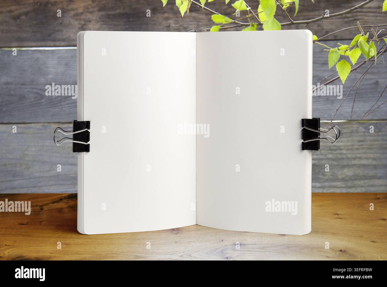 Collezione di mockup per notebook aperta e vuota su clip di legatura in metallo. Bozzetti realistici in carta con spazio per copiare su tavoli in legno rustico e grigi verdi Foto Stock