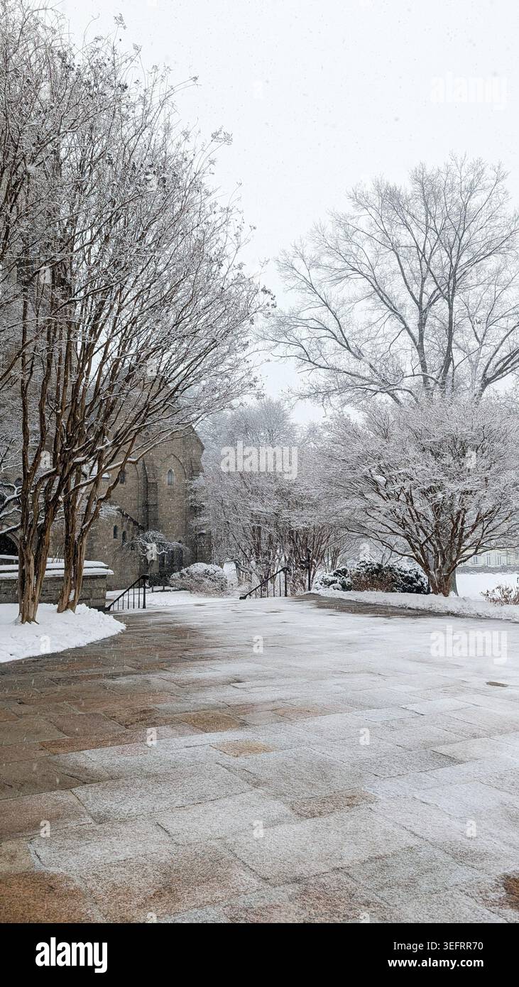 Cortile con patio in pietra circondato da alberi innevati in inverno. Foto Stock