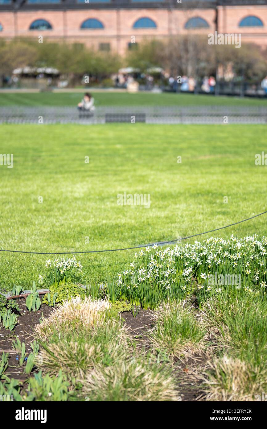 Prato verde con fiori primaverili in fiore disposti nel parco, la gente decora e si prende cura della natura. Foto Stock