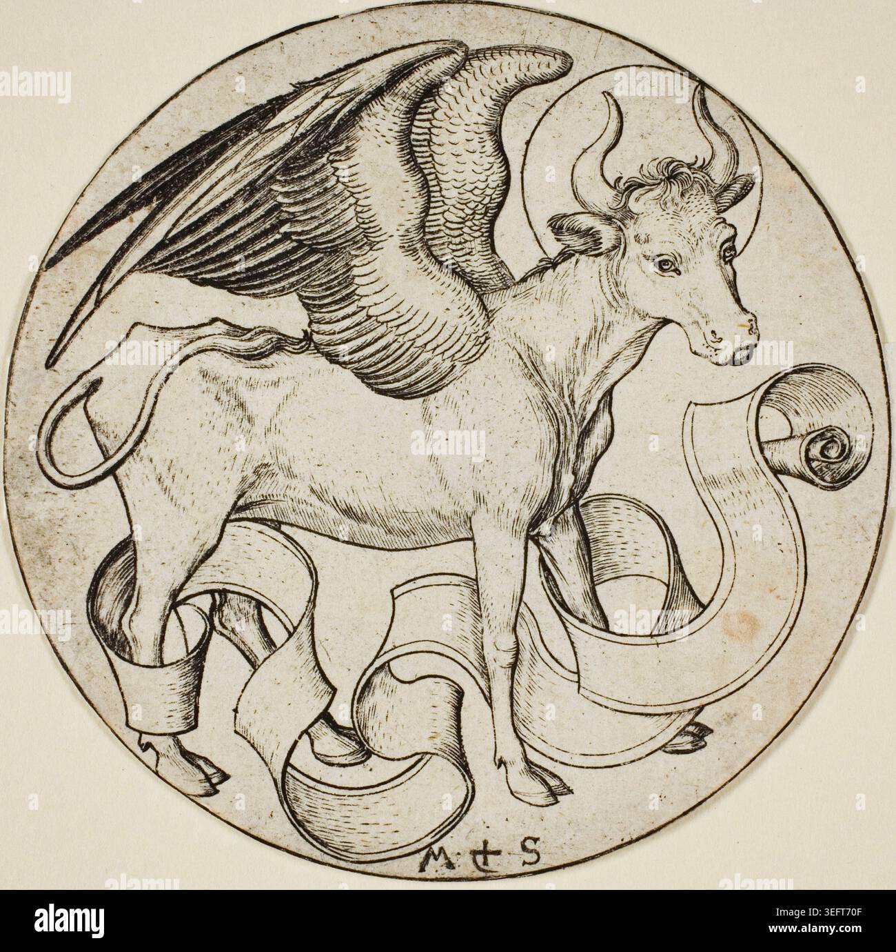 Il bue di San Luca di Martin Schongauer, n.d., raffigura un bue alato con corna curve circondato da un lavoro a scorrimento decorativo, una rappresentazione simbolica dell'iconografia cristiana Foto Stock