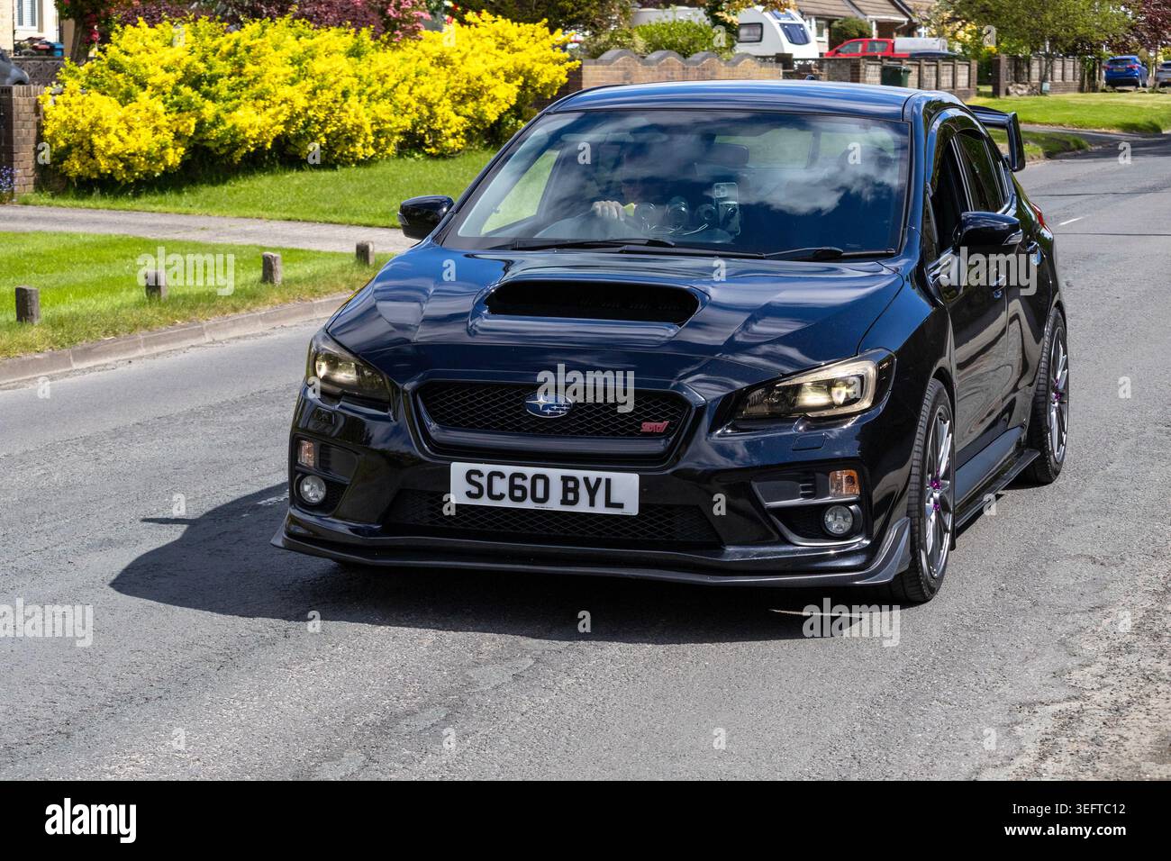 Una berlina sportiva Subaru WRX STI nera ad alte prestazioni che procede lentamente accanto alle siepi del giardino su una strada suburbana. Foto Stock