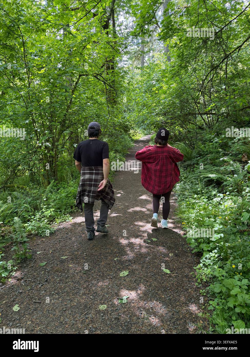 Un uomo e una donna che camminano in una foresta vicino a Eugene, Oregon, visto da dietro. - Immagine stock catturata con smartphone