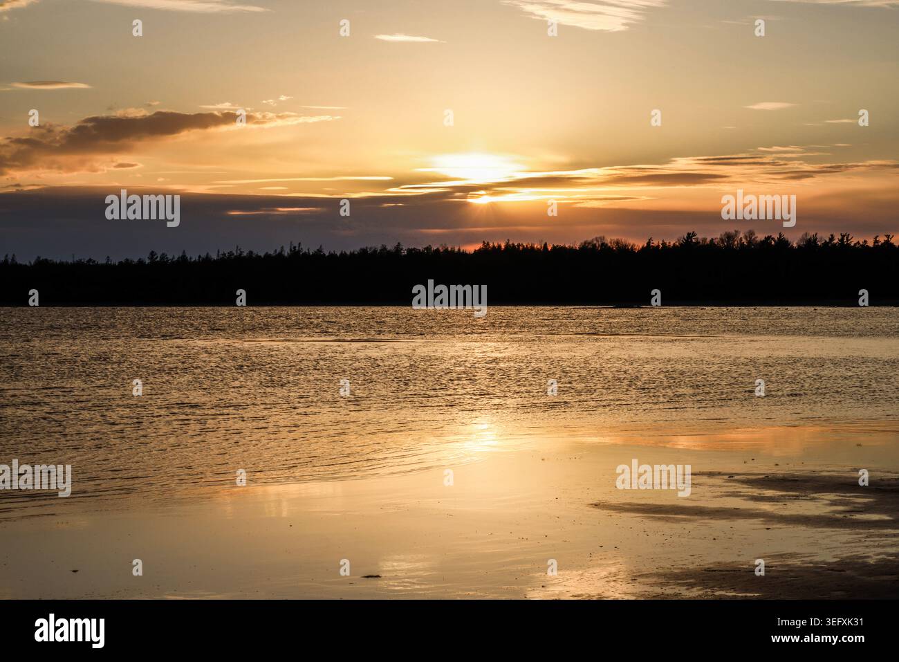 Un vivace tramonto dorato illumina un campo aperto vicino a Singing Sands sulla Penisola di Bruce, gettando lunghe ombre su un terreno strutturato. Foto Stock