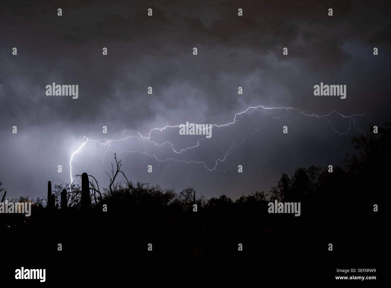 Un fulmine illumina il cielo notturno nel deserto Foto Stock