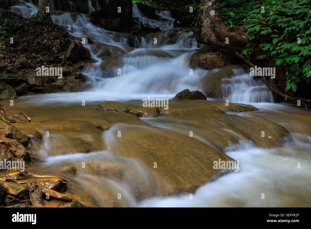 Una lunga esposizione di una cascata forestale naturale che crea un tranquillo scenario ambientale per progetti di benessere e conservazione della natura. Foto Stock