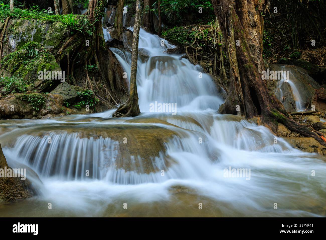 Una vista verticale di una cascata tropicale a più livelli con acqua fluente su rocce calcaree mossi in un lussureggiante e tranquillo habitat forestale. Foto Stock