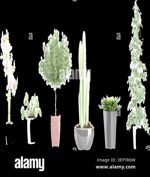 Set di piante domestiche in vasi isolati su sfondo bianco Pro Vector Illustrazione Vettoriale