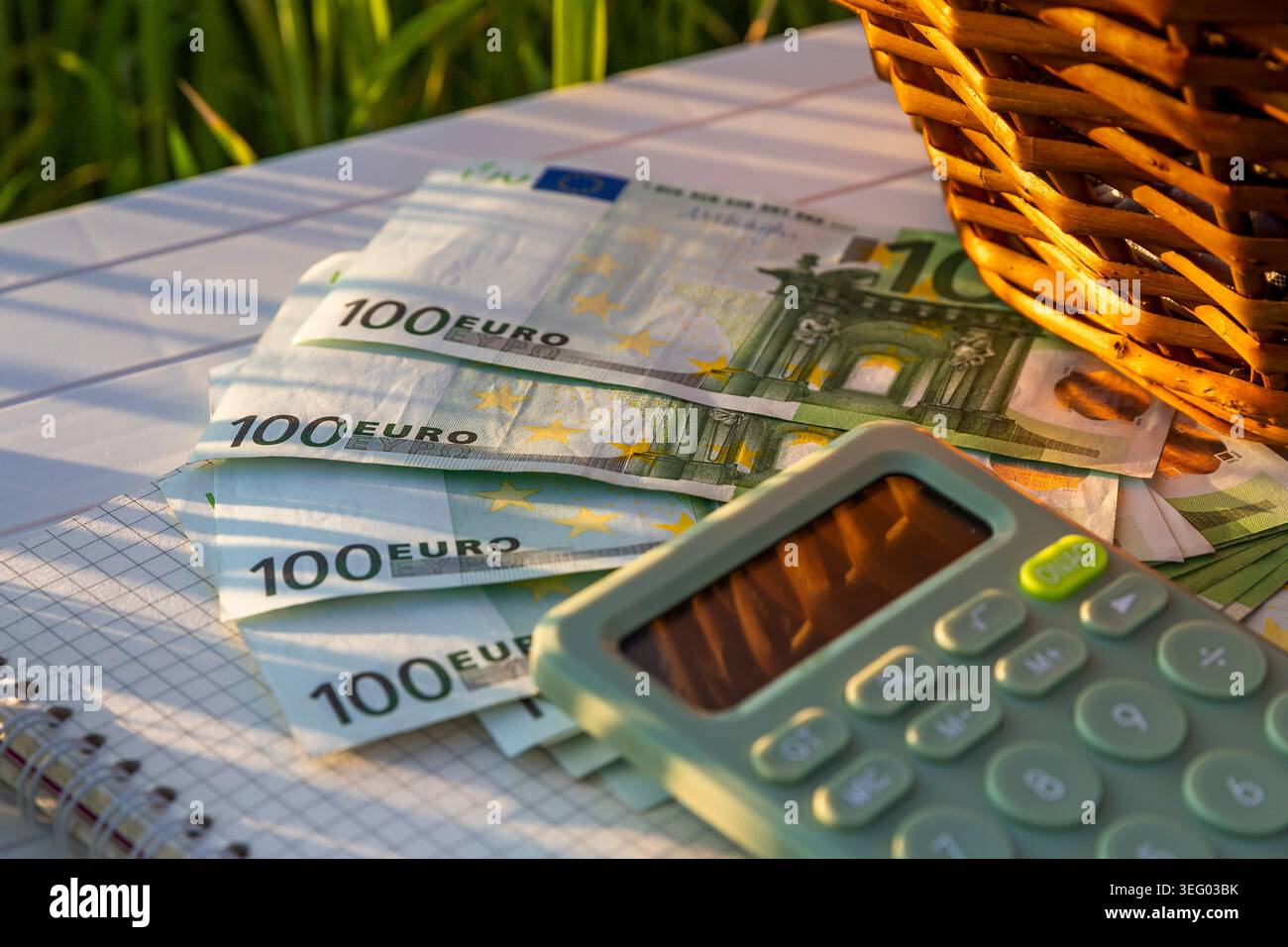 Calcolatrice taccuino e banconote in euro su tavola bianca vicino all'erba verde al tramonto Foto Stock