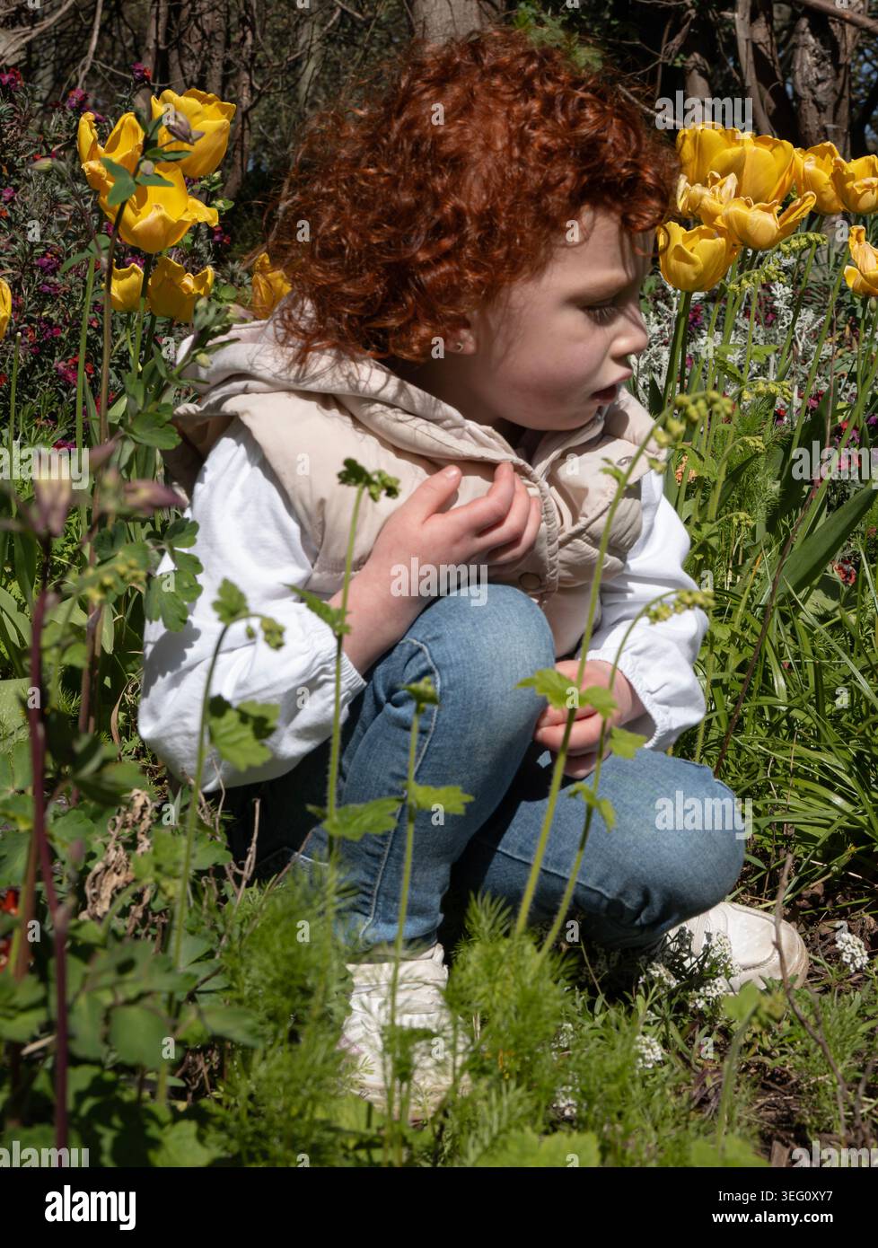 bambino dalla testa rossa Foto Stock