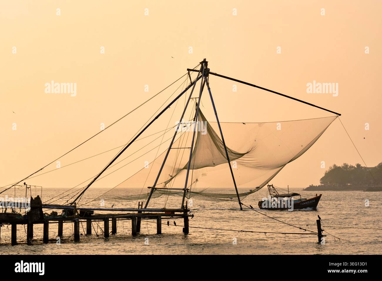 India, Stato del Kerala, Fort cochin o Kochi, reti da pesca cinesi importate dai commercianti cinesi nel XIV e XV secolo Foto Stock