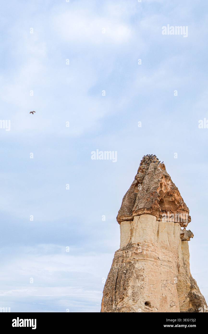 Formazione rocciosa del camino delle fate con uccelli e cielo nuvoloso in Cappadocia, Turchia. Foto Stock