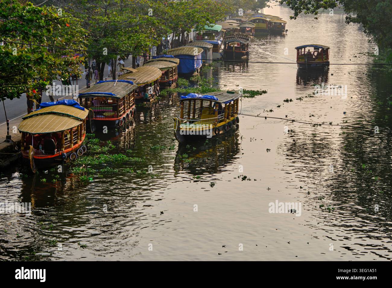 India, stato del Kerala, Alleppey, vita fluviale nelle acque secondarie Foto Stock