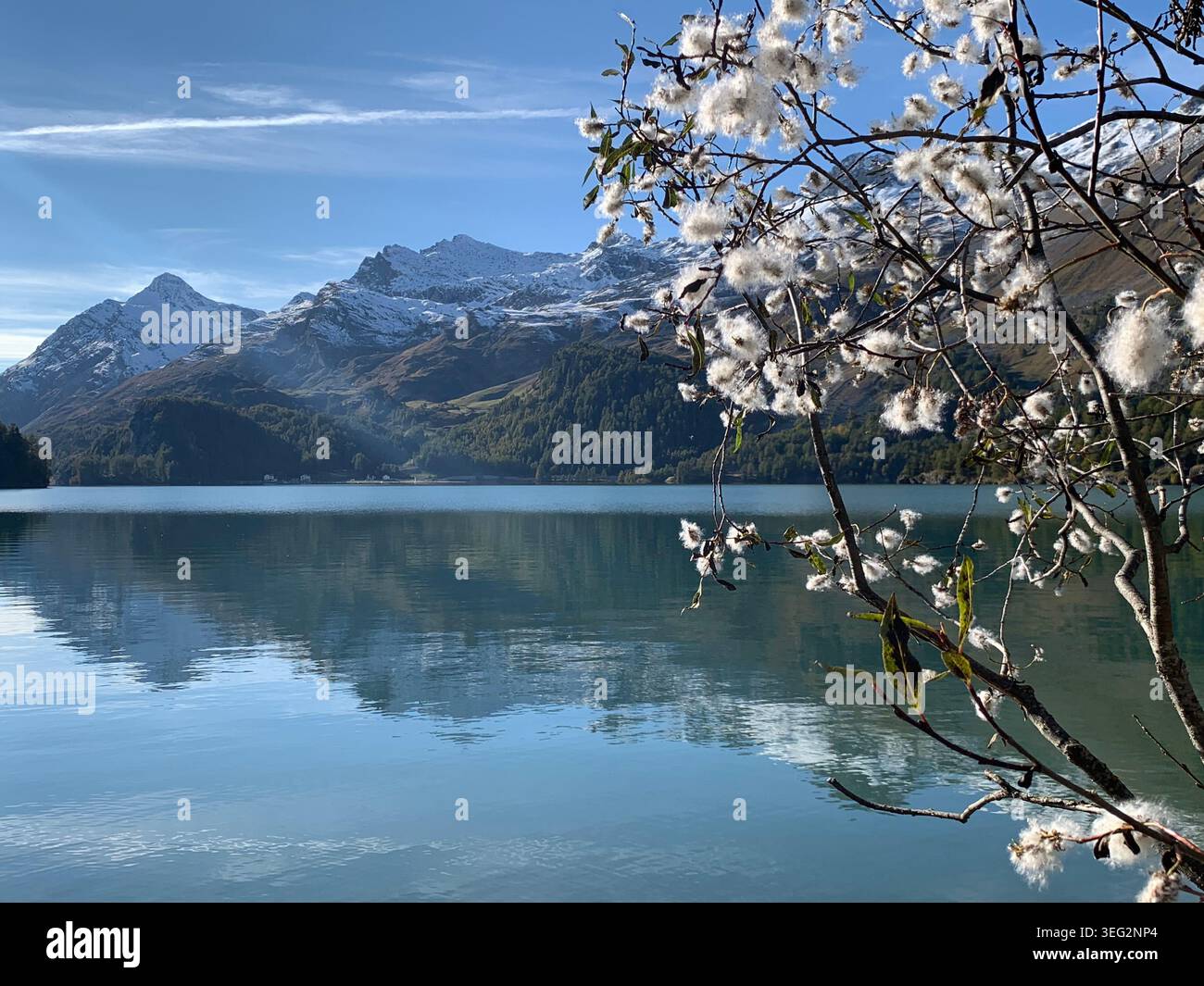 Vista delle montagne di ottobre vicino a Sils Maria con un lago alpino simile a uno specchio che riflette le cime circostanti delle Alpi svizzere. - Immagine stock catturata con smartphone