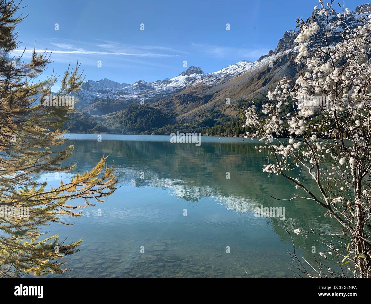 Vista delle montagne di ottobre vicino a Sils Maria con un lago alpino simile a uno specchio che riflette le cime circostanti delle Alpi svizzere. - Immagine stock catturata con smartphone