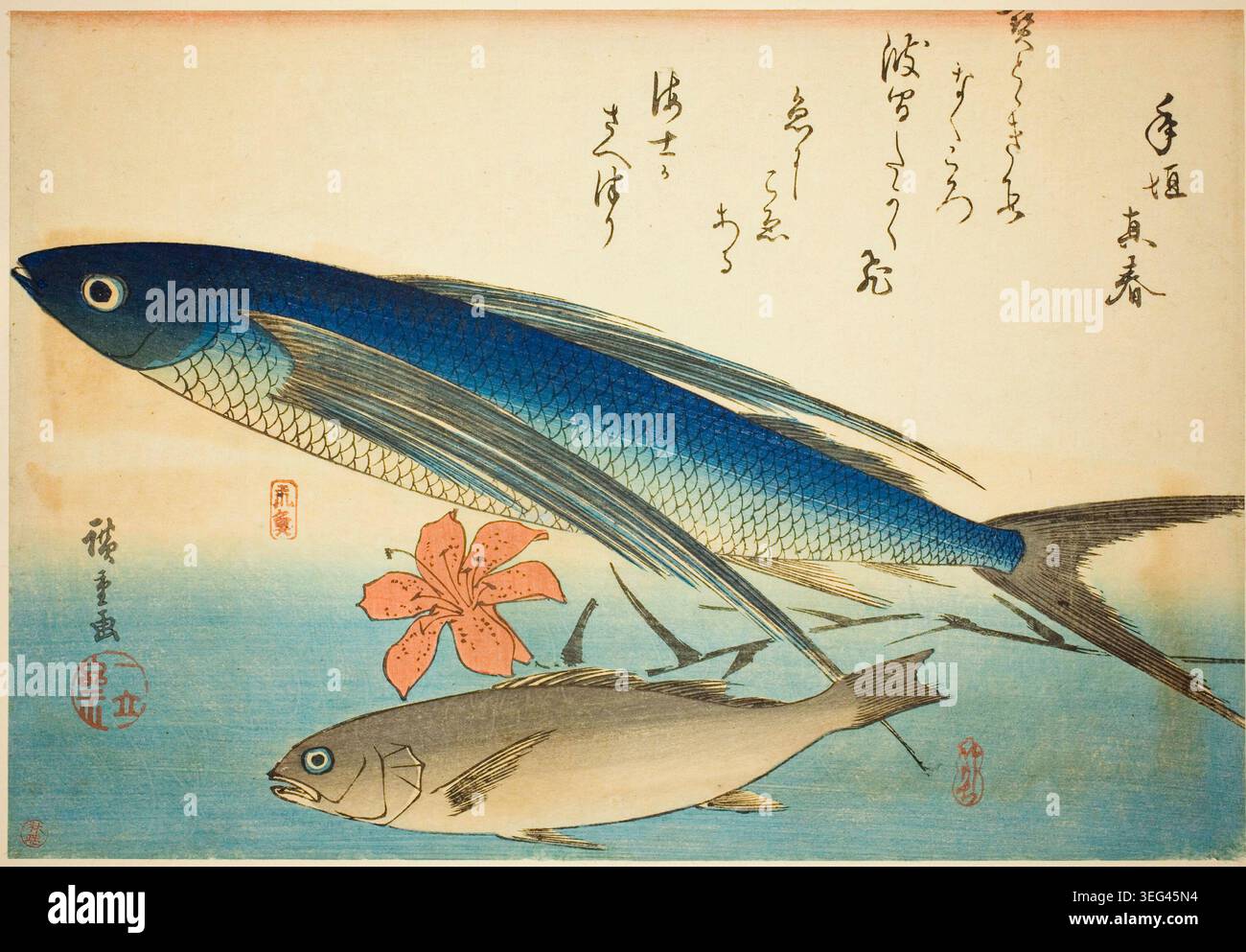 Flying Fish and Ichimochi, da una serie senza titolo di pesci di Utagawa Hiroshige, c. 1840/42, raffigurante due specie che nuotano in acqua blu con ramo fiorito Foto Stock