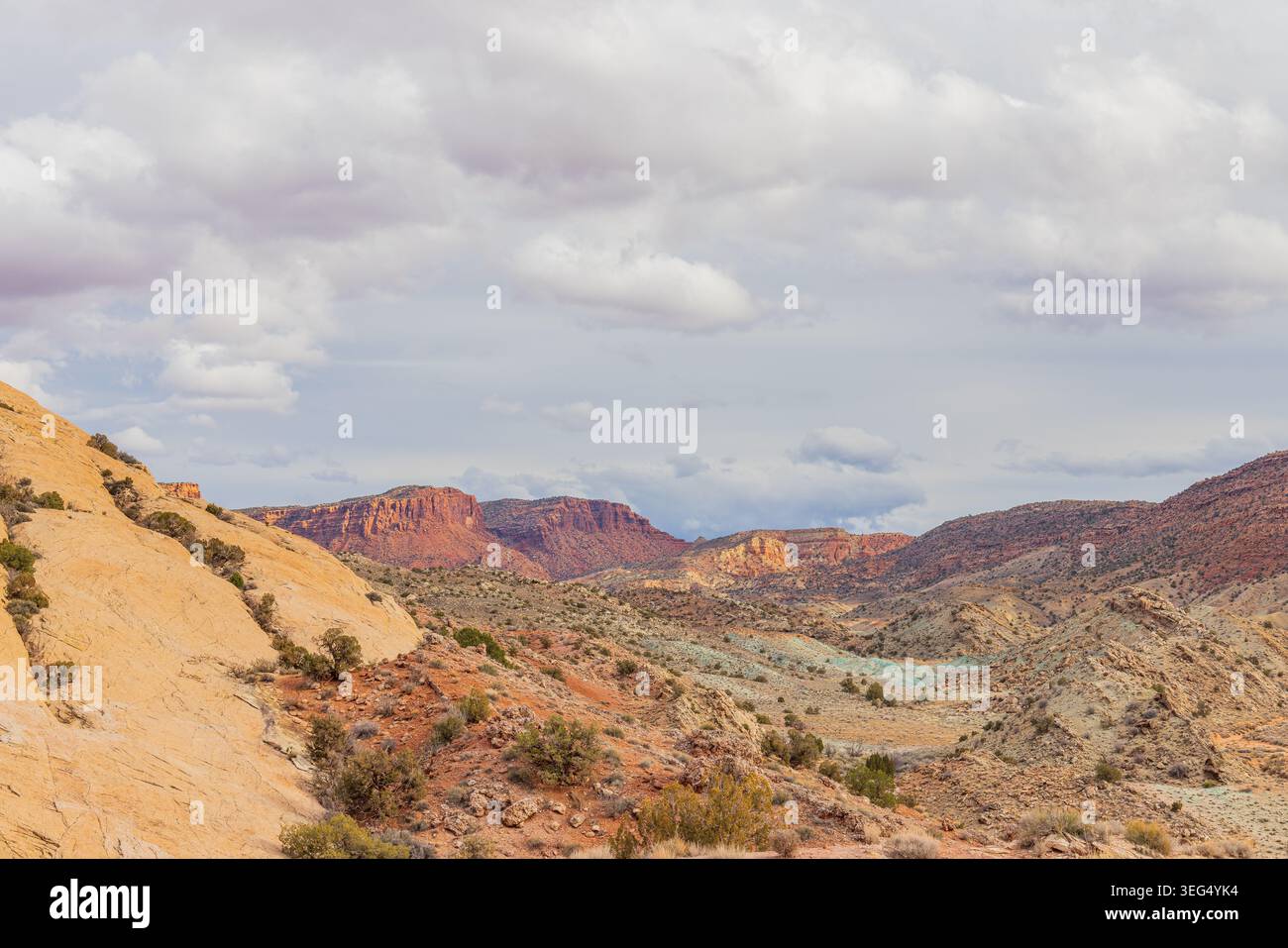Le aspre creste di arenaria e la fitta vegetazione desertica popolano un vasto canyon sotto un cielo nuvoloso. Foto Stock