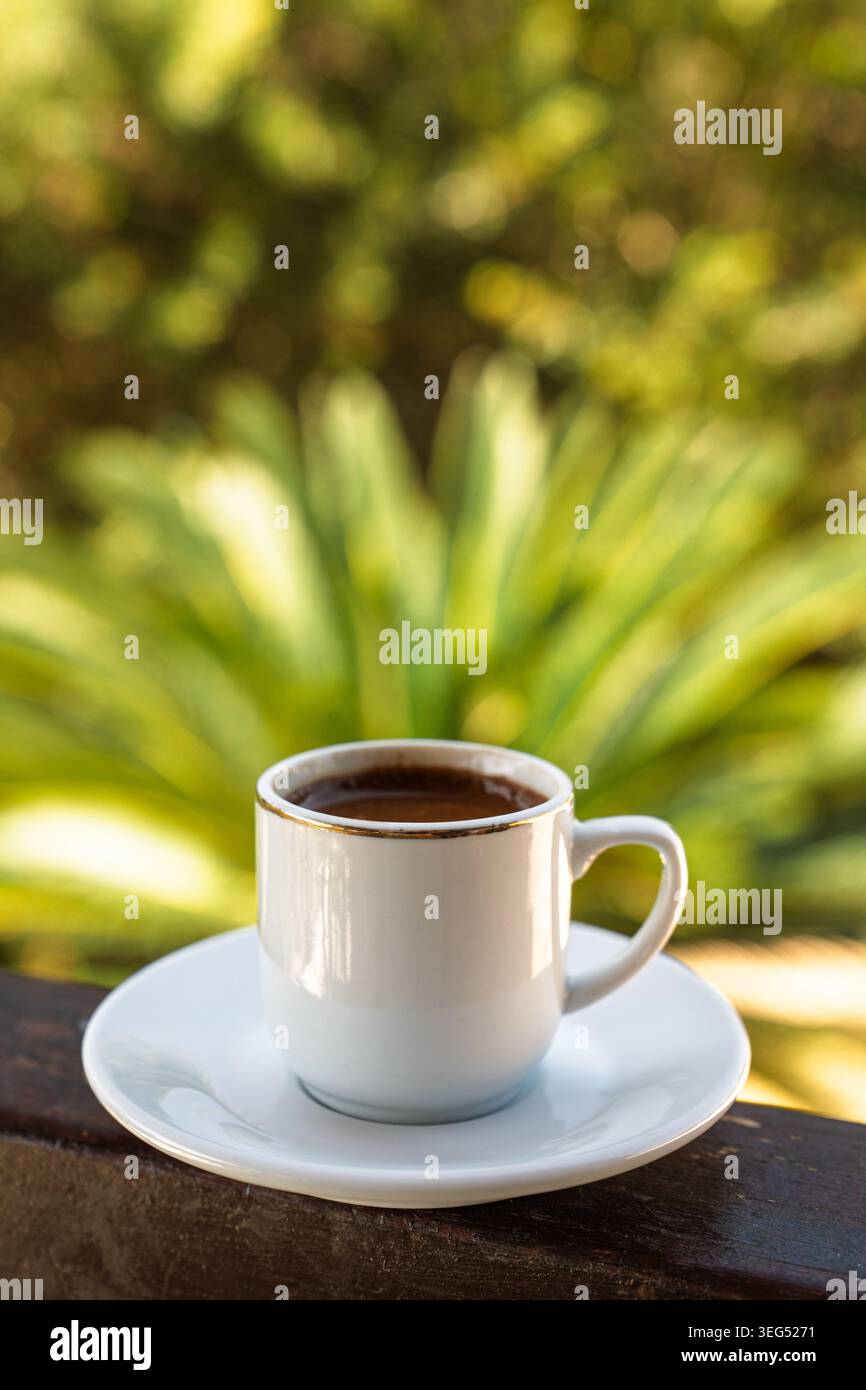 Caffè turco in tazza bianca su piattino con sfondo verde del giardino, bevanda tradizionale Foto Stock