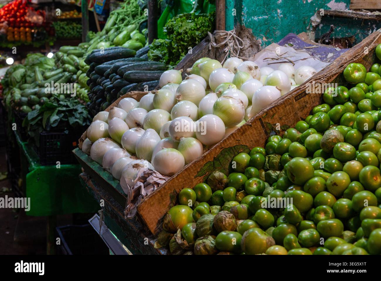 Cipolle bianche fresche e Tomatillo verde esposti in un vivace mercato all'aperto Foto Stock