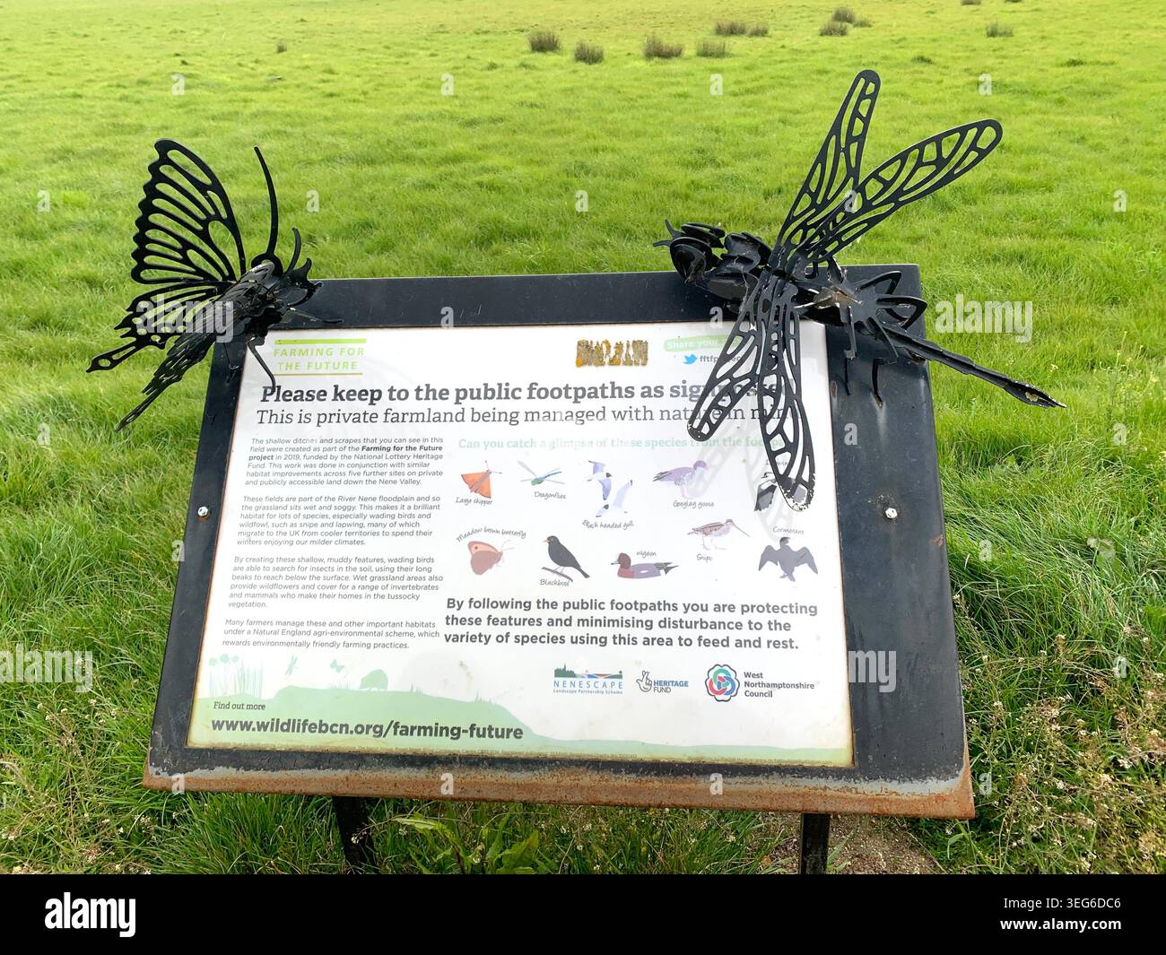 Upton Country Park insegna Northampton Northamptonshire Wildlife Trust tabellone informativo con sculture di farfalle e libellule in metallo e avvistamento dei sentieri Foto Stock