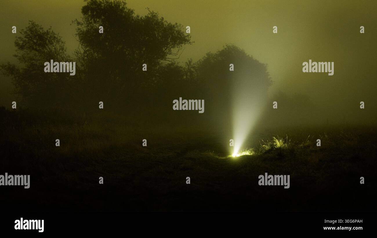 Una misteriosa luce luminosa in un campo in una notte nebbiosa Foto Stock