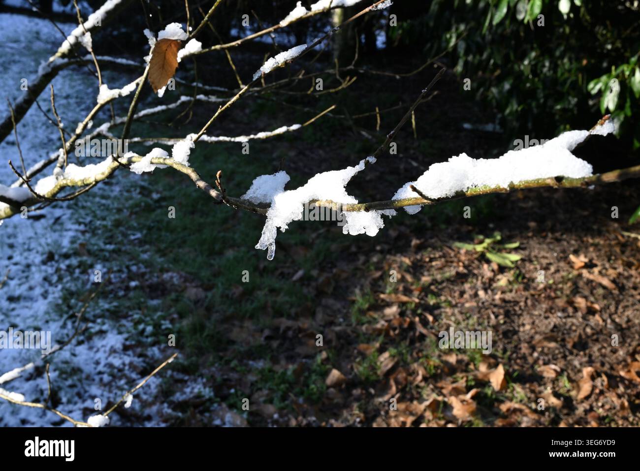 Chilly Scenes of Winter Foto Stock