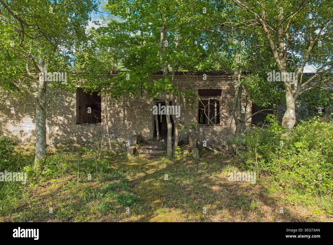 Edificio in rovina e abbandonato situato in un sito militare ex sovietico, ora sopraffatto dalla natura, Saaremaa, Estonia, Europa. Foto Stock