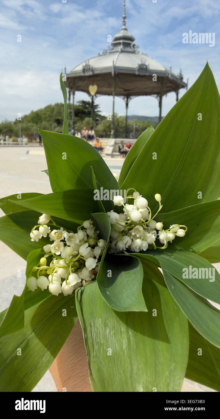 Bouquet di giglio della valle (muguet), simbolo del 1° maggio in Francia, con l'iconico chiosco Peynet di Valence delicatamente visibile sullo sfondo Foto Stock