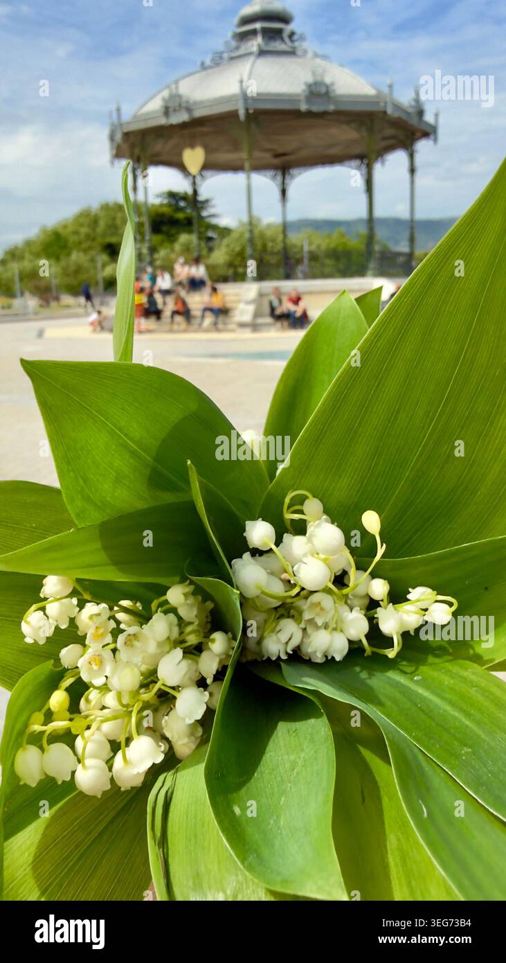 Bouquet di giglio della valle (muguet), simbolo del 1° maggio in Francia, con l'iconico chiosco Peynet di Valence delicatamente visibile sullo sfondo Foto Stock