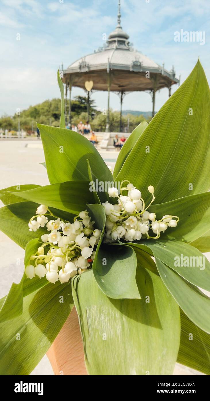 Un tradizionale bouquet di giglio della valle (muguet), simbolo del 1° maggio in Francia, con l'iconico chiosco Peynet a Valence delicatamente visibile sul dorso Foto Stock