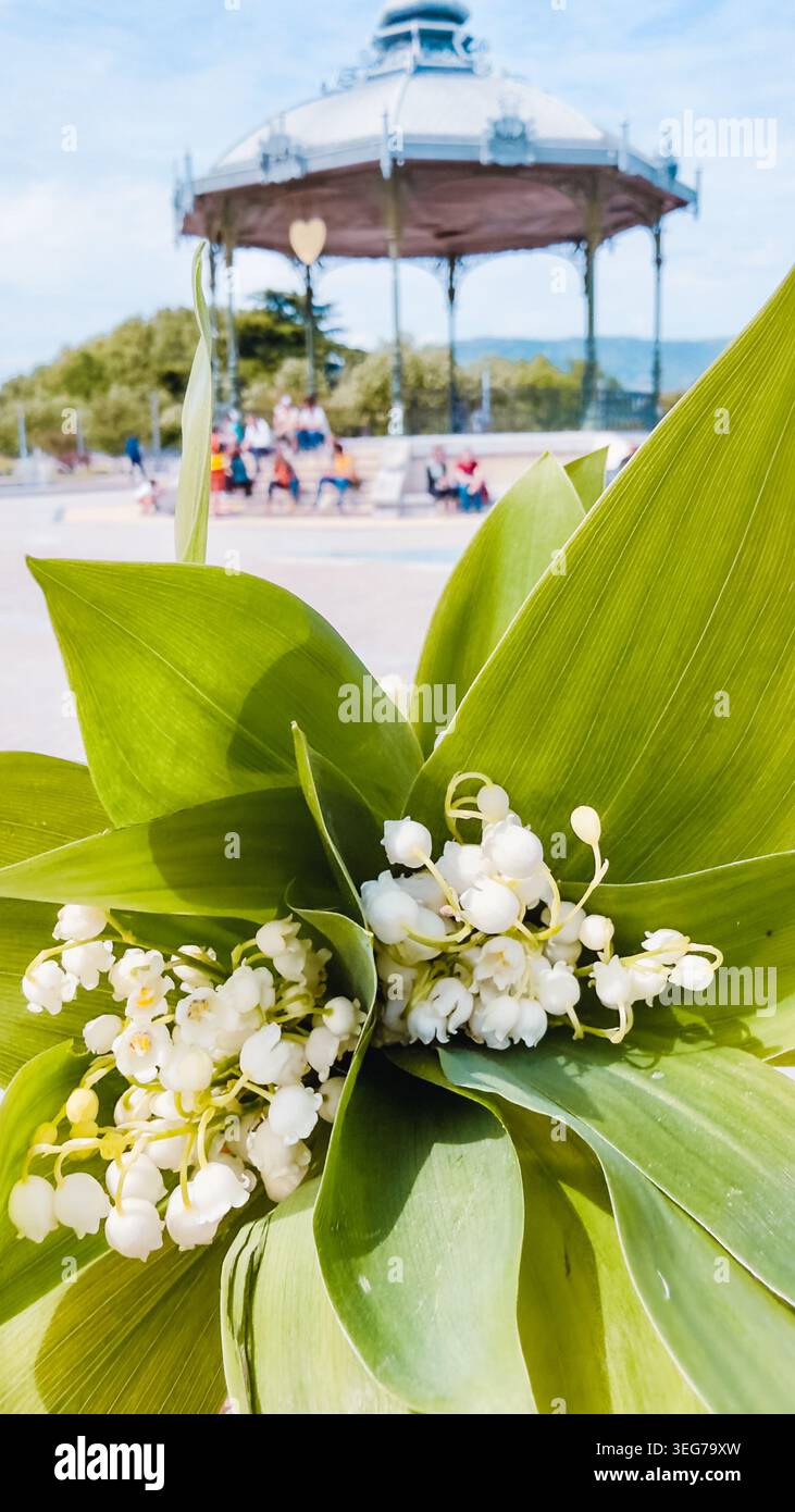 Un tradizionale bouquet di giglio della valle (muguet), simbolo del 1° maggio in Francia, con l'iconico chiosco Peynet a Valence delicatamente visibile sul dorso Foto Stock