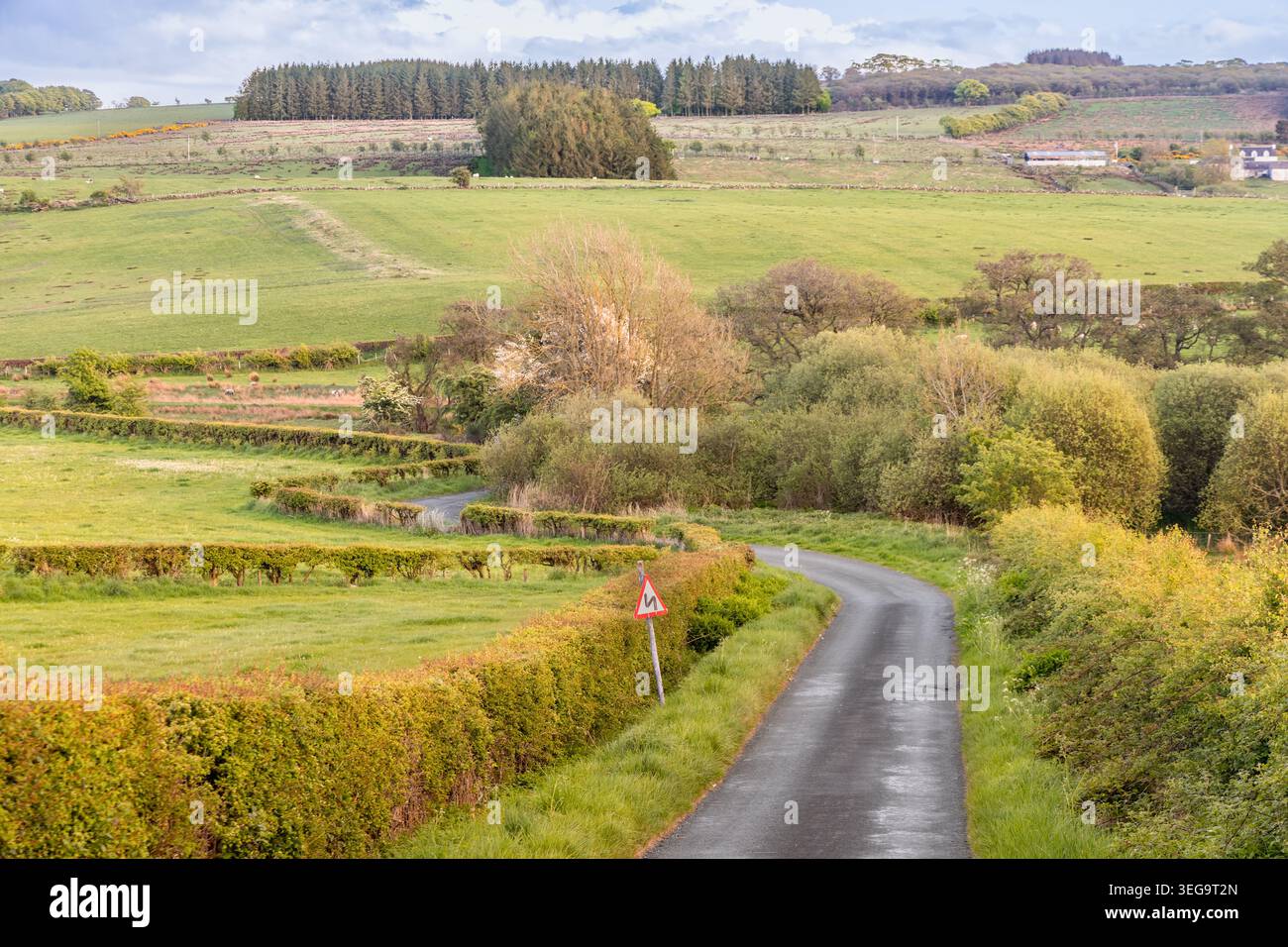 Tranquillo vicolo di campagna con tortuose curve che attraversano siepi, pascoli e paesaggi di allevamento sotto la luce soffusa dell'ora dorata nella campagna Britai Foto Stock