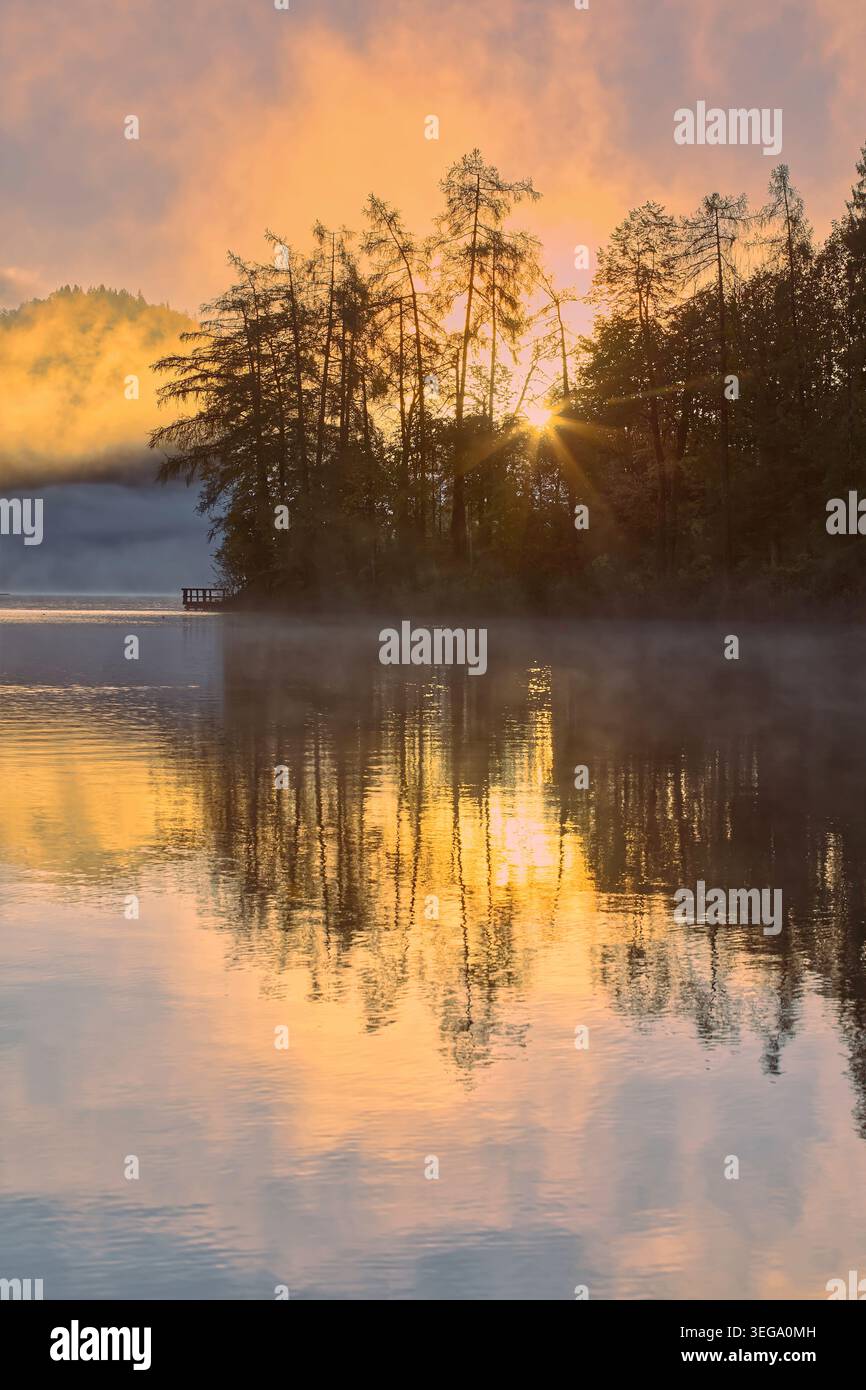 049 stelle del sole proiettate dalla foresta che copre il punto orientale della baia di Zaka, filtrando attraverso la fitta ma luminosa nebbia dell'alba. Bled-Slovenia. Foto Stock