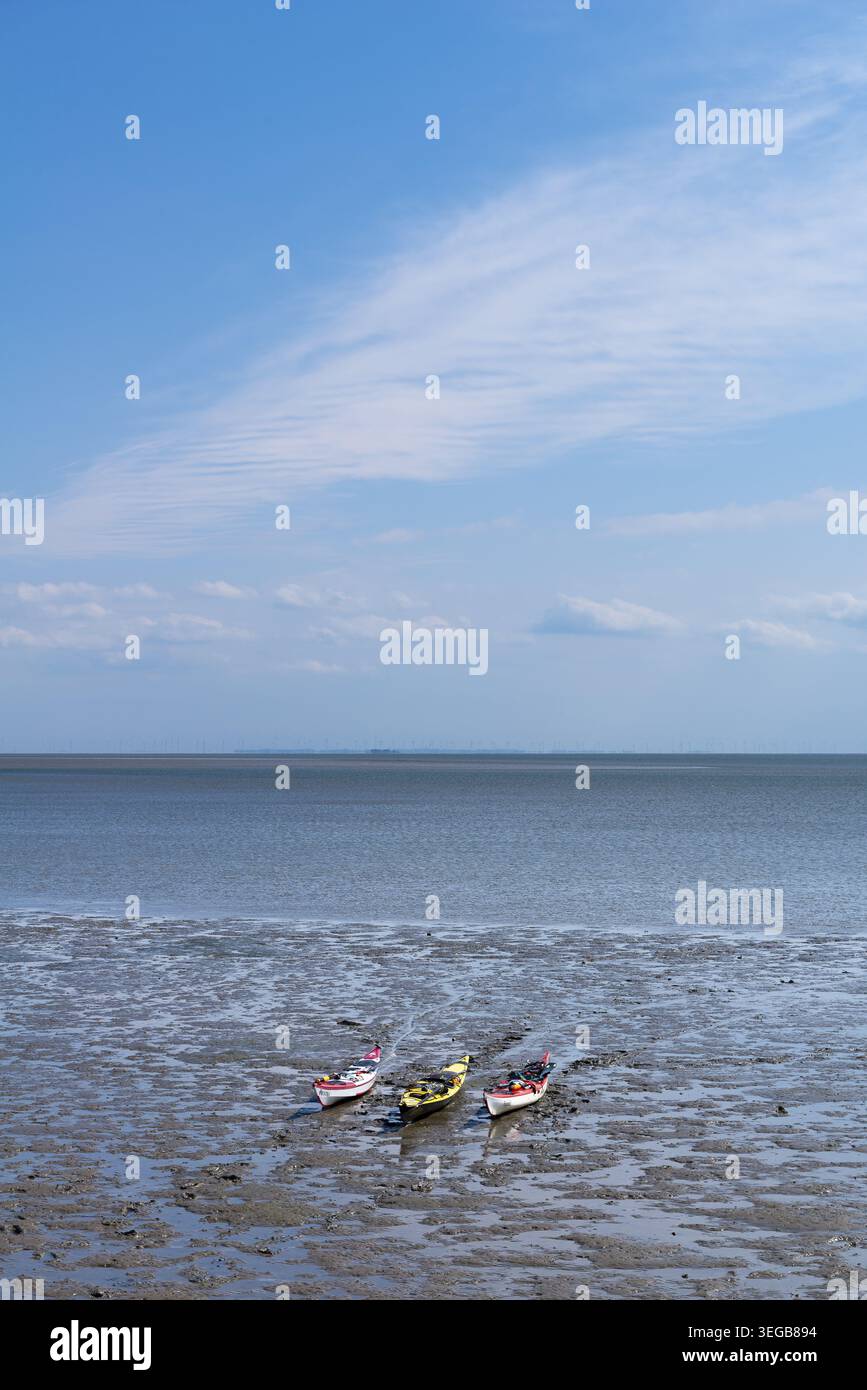 Vista sul mare da Hallig Langeness nel Parco Nazionale del Mare di Wadden, le barche a remi nelle distese fangose, la biosfera di Halligen, il P. Foto Stock